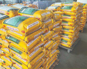 VỮA XOA, VỮA TRÁT TRẦN HOÀN THIỆN