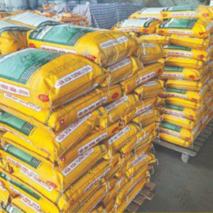 VỮA XOA, VỮA TRÁT TRẦN HOÀN THIỆN